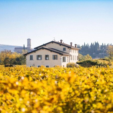 Вилла Dimora Buglioni Wine Relais Сан-Пьетро-ин-Карьяно Экстерьер фото
