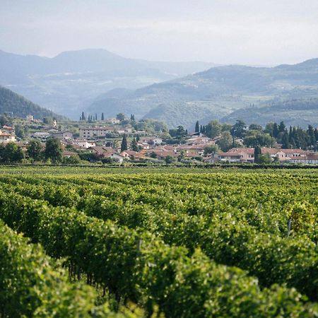 Вилла Dimora Buglioni Wine Relais Сан-Пьетро-ин-Карьяно Экстерьер фото