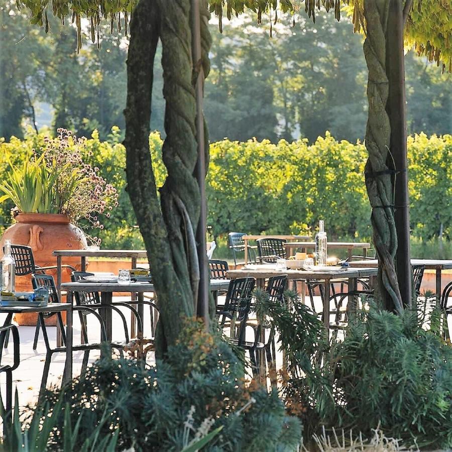 Вилла Dimora Buglioni Wine Relais Сан-Пьетро-ин-Карьяно Экстерьер фото