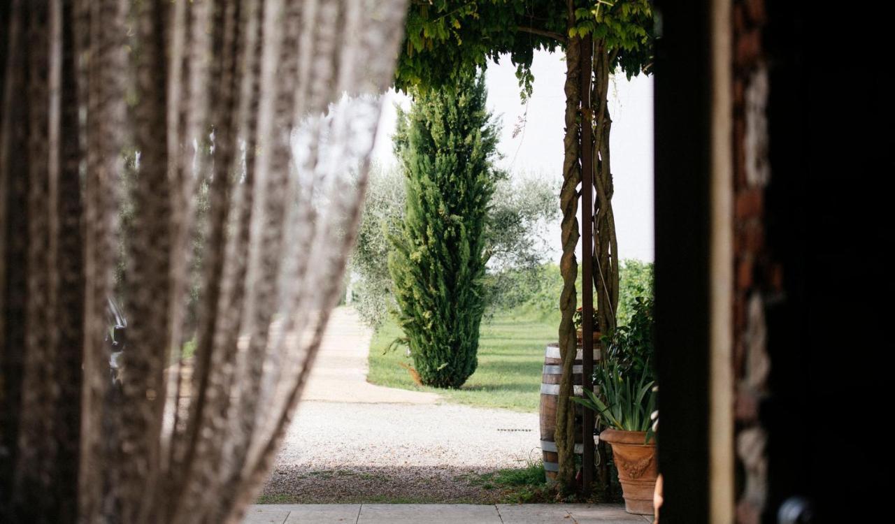 Вилла Dimora Buglioni Wine Relais Сан-Пьетро-ин-Карьяно Экстерьер фото