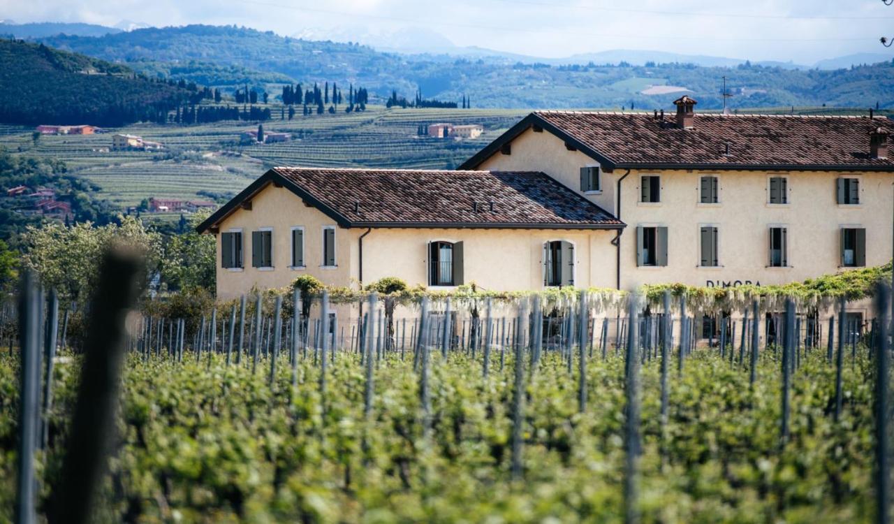 Вилла Dimora Buglioni Wine Relais Сан-Пьетро-ин-Карьяно Экстерьер фото