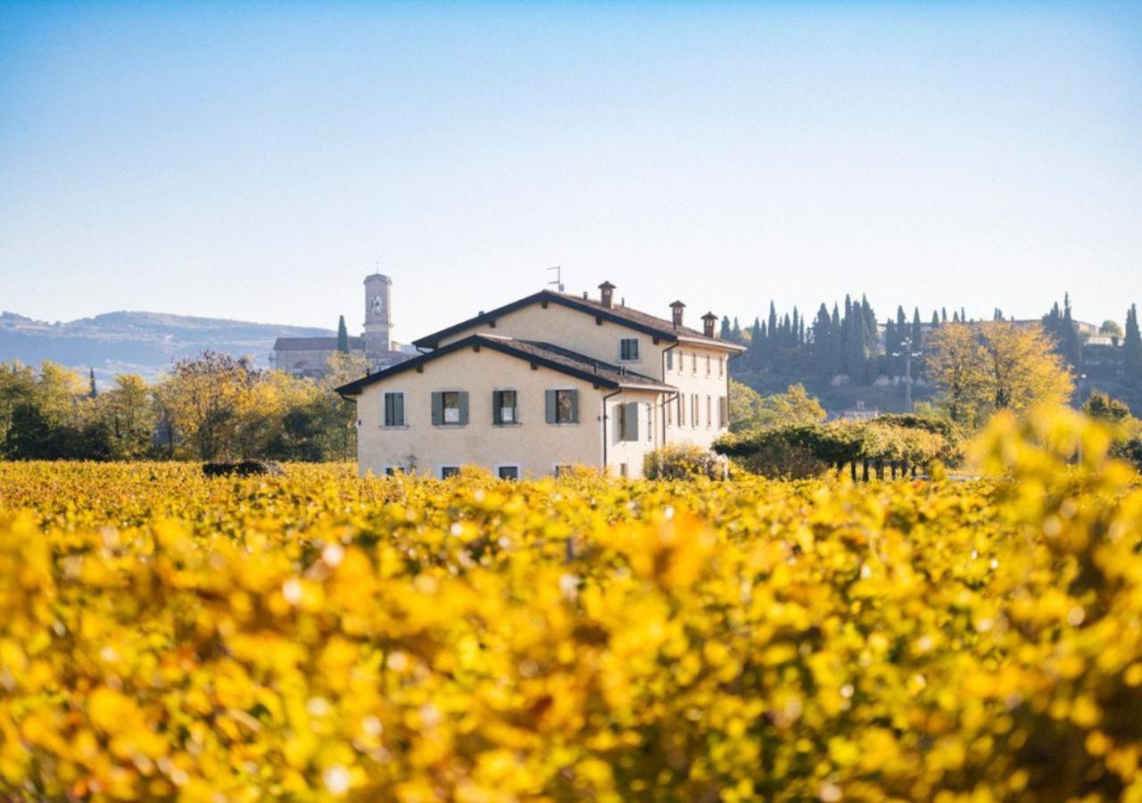 Вилла Dimora Buglioni Wine Relais Сан-Пьетро-ин-Карьяно Экстерьер фото