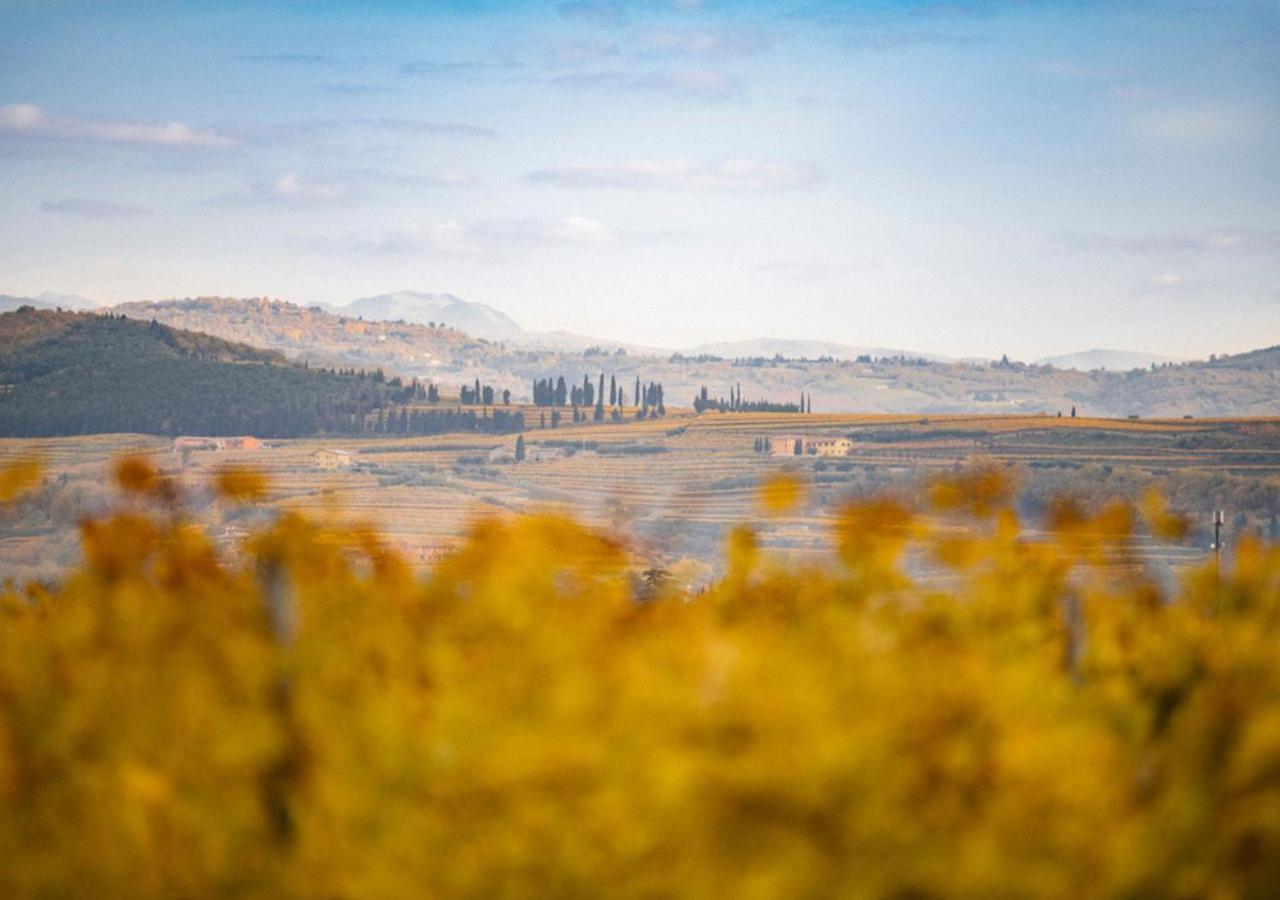 Вилла Dimora Buglioni Wine Relais Сан-Пьетро-ин-Карьяно Экстерьер фото