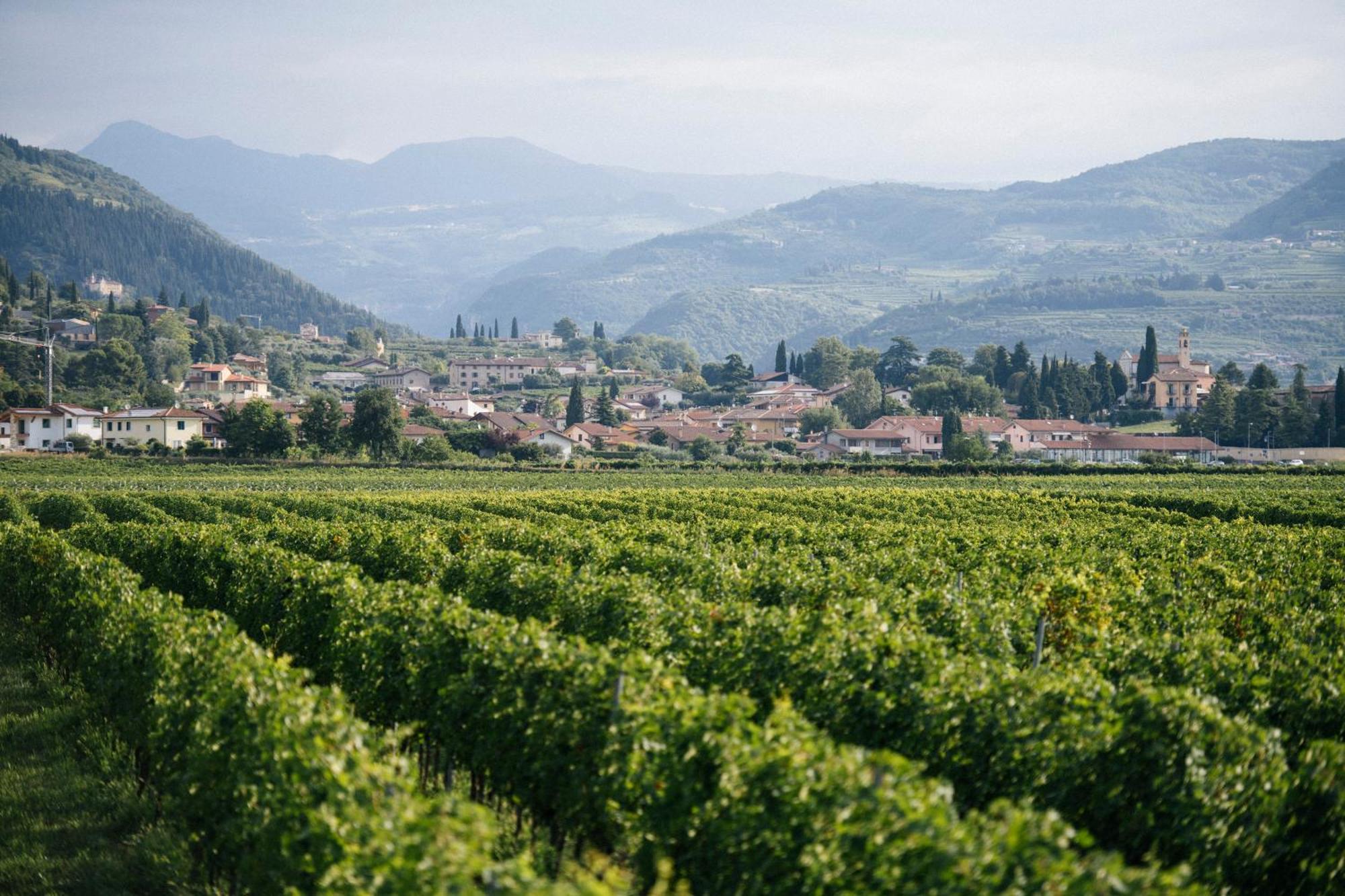 Вилла Dimora Buglioni Wine Relais Сан-Пьетро-ин-Карьяно Экстерьер фото